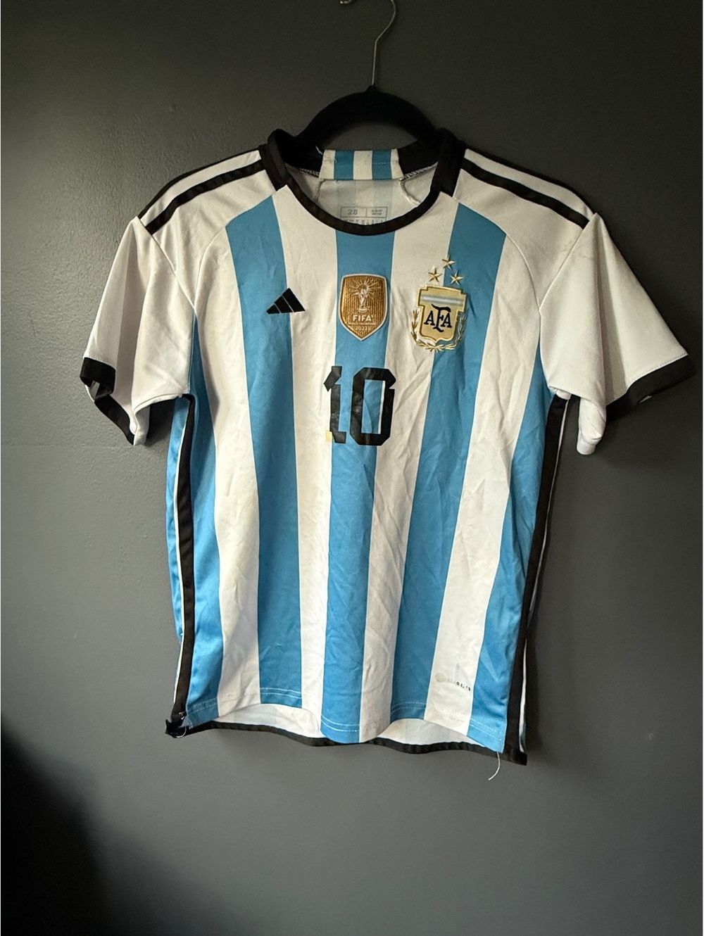 Argentina Messi #10 Soccer Jersey 2022 FIFA World Cup Edition